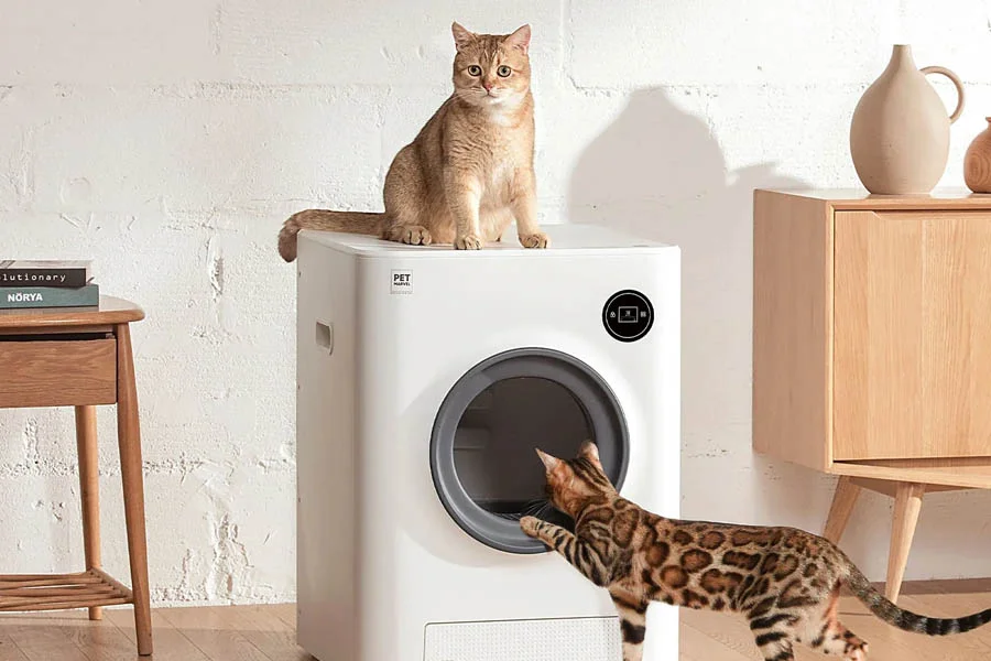mechanical litter box