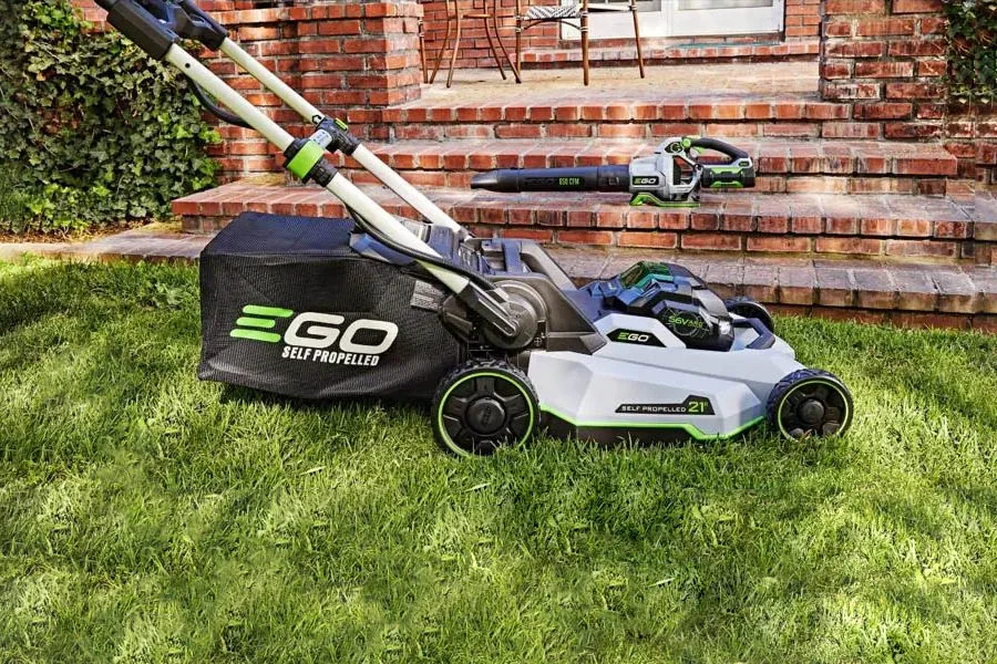 best cordless lawn